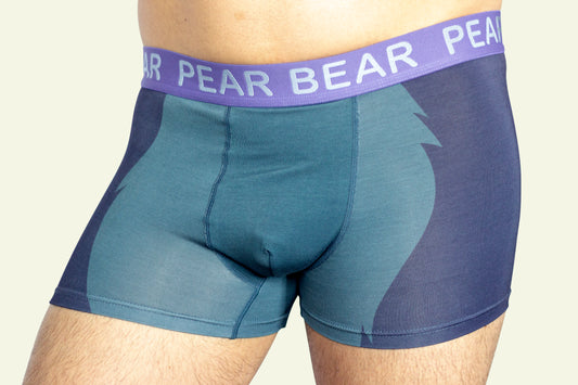 UnderBear Hipsters - BlueBeary **PRE-ORDER**